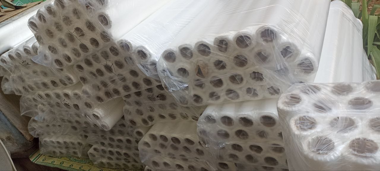 رول ملحفه یکبار مصرف رنگی ضخیم 17 گرم عرض 80 رول ملحفه یکبار مصرف تخت معاينه بسته 100 عددی
ملحفه یکبار مصرف